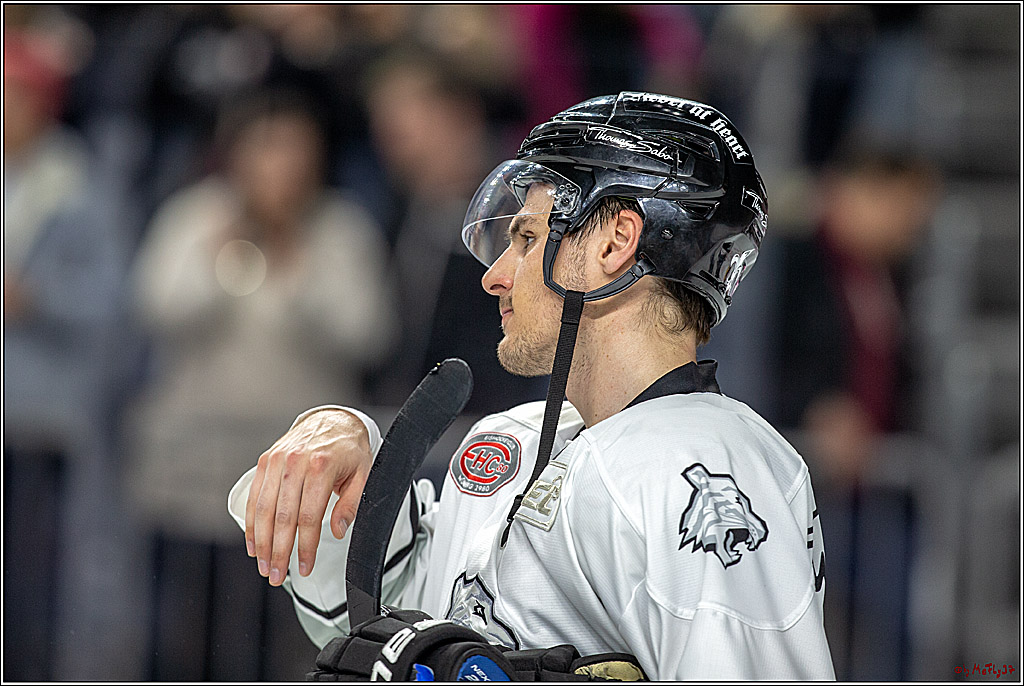 DEL; Koelner Haie - Thomas Sabo Ice Tigers Nuernberg, 19.02.2019